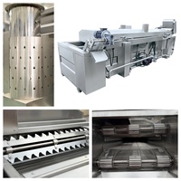 LTK 500kg/uur Hoge Kwaliteit Automatische Aardappelverwerkingsmachine Industriële Productielijn voor Diepvriesfrieten en Aardappelchips
