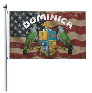 Bandera Dominicana Personalizada al por Mayor, Impresión a una Cara, Resistente a la Decoloración, con 2 Ojales en la Manga Izquierda - Product Image 2