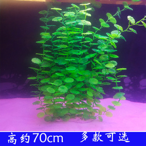 Plante aquatique artificielle étendue de 70 cm, ornement de simulation en plastique vert pour la décoration d'aquariums et de paysages aquatiques - Product Image 3
