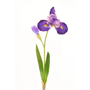67CM Iris Flower Real Touch, longue tige artificielle réaliste plantes d'iris sibérien pour mariage maison bureau décor fleur de centre de table
