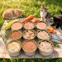 ARLIORCH Nourriture humide pour chats de qualité supérieure, riche en protéines et faible en matières grasses, avec thon, saumon et poulet - Sans additifs - Pour toutes les générations
