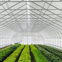 Grand tunnel de culture en PVC de 6x8x5m, tunnel de culture de fruits, serre en polytunnel