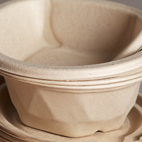 Assiettes jetables en bagasse de canne à sucre, rondes festonnées, robustes, de 6, 7, 8, 9, 10 pouces, pour fêtes, anniversaires, traiteur, en gros