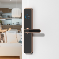 Serrure de porte en alliage d'aluminium de carte clé de l'application TTHotel de couleurs multiples de haute qualité serrure d'hôtel intelligente WiFi personnalisée