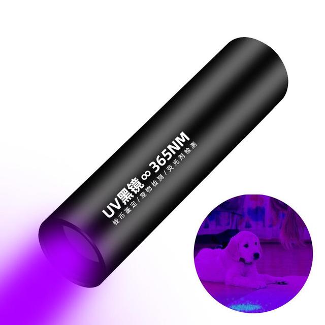 Popular 365nm Ultraviolet Blacklight Detector Mini Portable LED Flashlight USB Rechargeable Waterproof Purple Light Torch Light