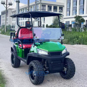 Carrito de golf eléctrico de lujo personalizado al por mayor, estilo Drive Style, para turismo, con batería de litio, transporte especial - Product Image 5