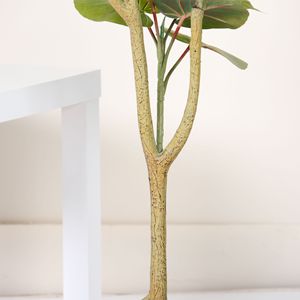 <span class=keywords><strong>Planta</strong></span> Artificial <span class=keywords><strong>de</strong></span> Ficus con Hojas en Forma <span class=keywords><strong>de</strong></span> Corazón, <span class=keywords><strong>Planta</strong></span> Artificial en Maceta para Decoración del Hogar, Oficina, Jardín, Decoración del Hogar, Plantas Artificiales - Product Image 3