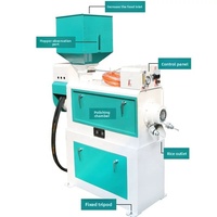 Équipement de blanchiment du riz à rouleaux d'émeri horizontaux à bon prix, machines de décorticage et de polissage du riz pour usine de rizerie, forte aspiration