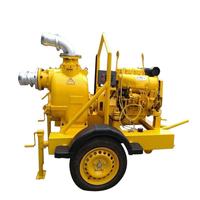 Pompe à eau diesel auto-amorçante DEFU pour l'irrigation agricole, sortie de 3 pouces avec tuyau d'aspiration flexible en PVC