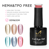 Collection de 66 Gels Ongles Effet Œil de Chat Couleurs Variées, Sans HEMA ni TPO, Magnétiques, Soak Off, UV LED, pour Manucure en Salon, OEM ODM