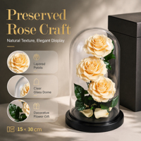 Vente en gros de roses éternelles Beauty Beast Prince 15*30cm, rose préservée dans un coffret cadeau en verre pour petite amie - Saint-Valentin, Noël