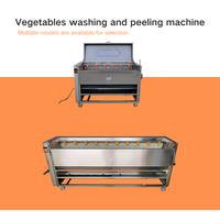 Borstelrol Cassave Reinigingsmachine Fruit Groente Wasmachine Elektrische Gember Aardappel Was- en Schilmachine