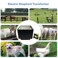 Transformateur de sortie adapté aux électrificateurs de clôture électriques Transformateurs élévateurs haute fréquence