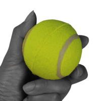 Lanceur de balles de tennis pour chien, ensemble en plastique écologique, lanceur à long arc incurvé, poignée ergonomique, jeu de rapport facile, logo personnalisé pour animaux de compagnie