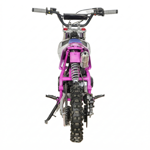Moto à essence MAXSPEED, 4 temps, refroidissement par air, monocylindre, 4 vitesses, embrayage manuel, démarrage par chaîne, moteur 110cc / 12 - Product Image 6