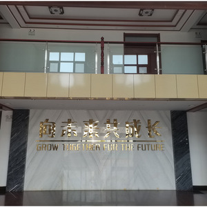 <strong>China</strong> Brand Flat Top <strong>Tower</strong> <strong>Crane</strong> Construction <strong>Tower</strong> <strong>Crane</strong> for Sale - Product Image 5