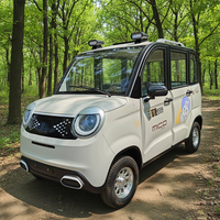 Voiture électrique compacte 1000W, mini véhicule électrique à quatre roues, 4 portes, 4 places, batterie lithium pour adultes