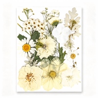 Assortiment de 15 fleurs séchées pressées pour la fabrication de bougies parfumées, les sceaux de cire et la décoration de savons artisanaux