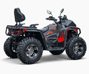 Quad tout-terrain de qualité supérieure 2026, 300 cm3, 4 temps, transmission automatique, pour adultes, tout-terrain - Product Image 4
