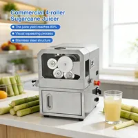 Extracteur de jus de canne à sucre puissant et personnalisable, moteur 220V, Inde, Australie, Philippines, Kenya, Chine continentale