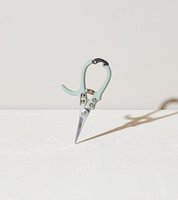 Ciseaux d'élagage de jardin, kit de plantes de croissance, de haute qualité