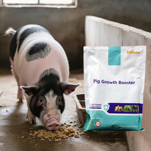 Premiscele di richiamo per la crescita dei suini per alimenti per animali additivi premiscelati multivitaminici per suini da ingrasso premiscelato - Product Image 1