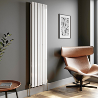 Radiateur de Chauffage Anthracite Vertical Mural Moderne à Double Panneau Plat Central pour la Maison