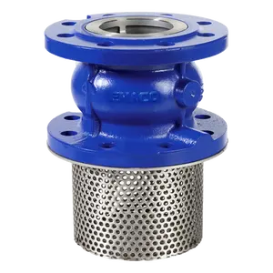 Foot Valve DN40-DN400 PN10 PN16 10K 16K With Stainless Steel Strainer