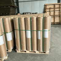 Grillage soudé galvanisé à chaud, antirouille, pour élevages avicoles et clôtures de jardin