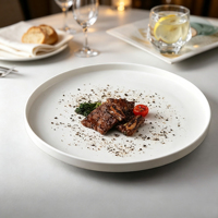 Assiettes en porcelaine nordique, compatibles micro-ondes, pour la restauration, idéales pour les pâtes, les steaks, les pizzas et les petits-déjeuners.