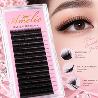 Extensions de cils ultra-noirs mats en gros, en PBT coréen, doux comme du cachemire, plateaux de cils individuels pour volume, marque privée