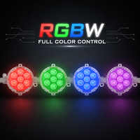 Éclairage extérieur permanent personnalisé en gros, étanche IP67, à LED, en PVC, DMX512 RGBW
