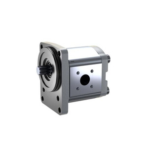 High Quality ZHANPENG China Made Hydraulic Gear <b>Pump</b> for Construction Machinery 250 <b>bar</b> Operating Model - Product Image 3