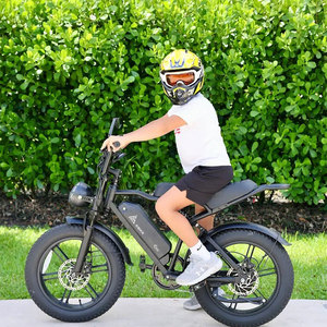 Bicicleta Eléctrica con Asiento Trasero, 250 Vatios, Neumáticos Gruesos para Todo Terreno, Montaña y Ciudad, 20*4.0 Pulgadas, Batería de Litio, Cuadro de Acero - Product Image 2
