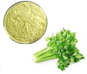 Wholesale Bulk Celery Extract Powder Physical Immunity Organic Certified Celery Seed Extract 98% Apigenin