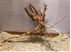 Madeira Natural para Aquário: Tronco de Bonsai e Madeira Flutuante (Spider Wood) para Aquascaping – Vários Tamanhos Disponíveis para Atacado - Product Image 6