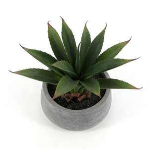 Bonsái Artificial Realista <span class=keywords><strong>en</strong></span> <span class=keywords><strong>Maceta</strong></span>, Vegetación Plástica de <span class=keywords><strong>Aloe</strong></span> <span class=keywords><strong>Vera</strong></span> para el Hogar, Sala de Estar, Planta Artificial de <span class=keywords><strong>Aloe</strong></span> <span class=keywords><strong>Vera</strong></span> del Desierto <span class=keywords><strong>en</strong></span> <span class=keywords><strong>Maceta</strong></span> - Product Image 3