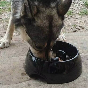 Reddot tasarım seramik yavaş besleyici seramik yavaş besleyici köpek öğeleri toptan - Product Image 2