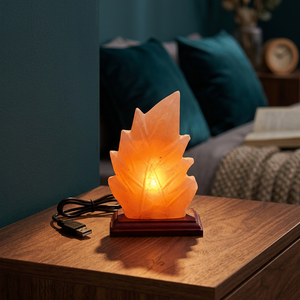 High Quality 100% Pure Original Himalayan Salt Lamp New Design Elephant Mini <b>USB</b> <b>Night</b> <b>Light</b> Decorative Natural Craft salt lamp - Product Image 1