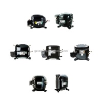 R134a NEU2140GK NEU2155GK NE2134Z NEU2178GK NEU6212Z NEU6214Z pour compresseurs de réfrigérateur Embraco Aspera