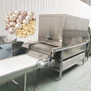 Machine à peler l'ail, ligne de production de poudre d'ail - Product Image 3