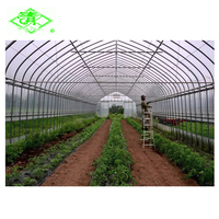 Film de serre agricole en polyéthylène, bâche PE imperméable et anti-âge pour la culture de baies et de légumes en polytunnel