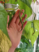 Tour de plantation aéroponique verticale avec pompe, système hydroponique de culture de légumes sans terre à 9 niveaux