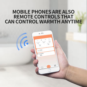 En çok satan hazır elektrikli duş suyu ısıtıcısı kapalı doğal gaz ısıtıcı ile çelik Tankless kazan bakır ısı değiştirici - Product Image 3