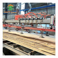Peuplier Pin Eucalyptus Bouleau LVL Contreplaqué 4*8 Pieds E0 pour Porte Cadre Fenêtre Cadre Maison Meubles En Bois Armoires Espace Capsule