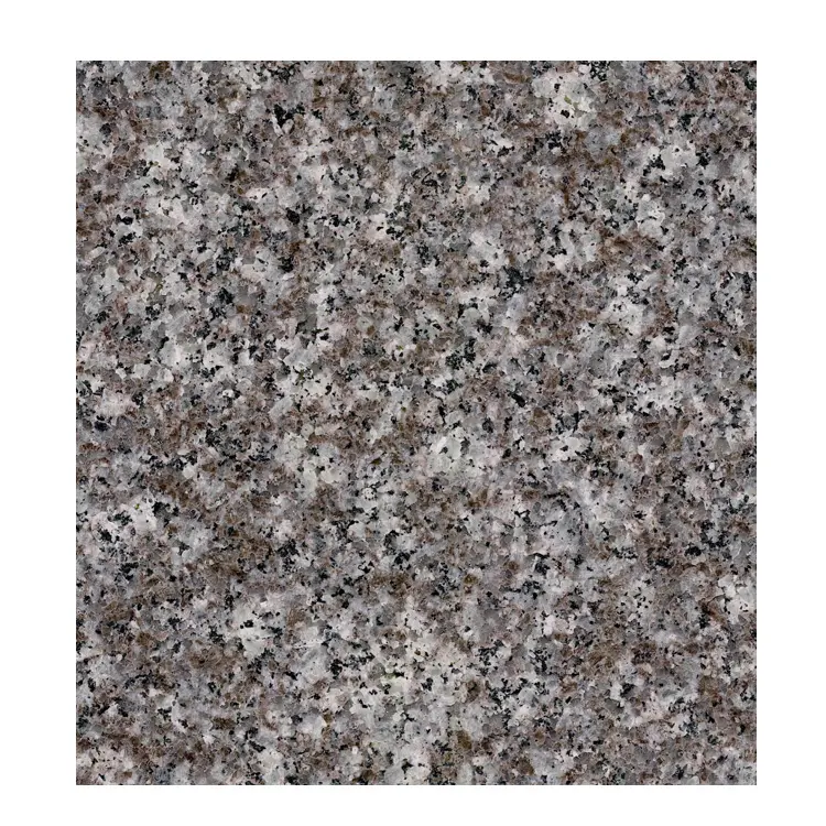 Baldosas de granito chino morado G664 80x80, granito marrón menta 664