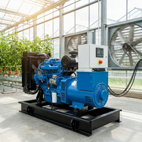 Générateur Diesel Prix Usine 30kW 50kW Type Ouvert Silencieux avec ATS 1800 tr/min Alimenté par Moteur Weichai Yuchai