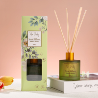 Diffuseur de parfum à bâtonnets aromatiques en gros, marque privée OEM, 100 ml, parfum d'ambiance longue durée aux huiles essentielles naturelles pour l'été
