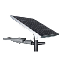 Farola Solar impermeable para jardín, lámpara LED de calle, proyecto de farola Solar, 50W