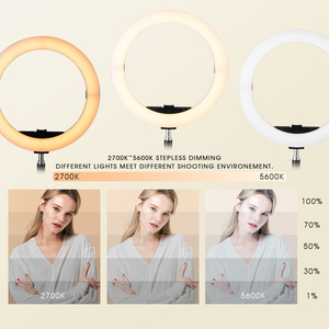 Seming 10 14 18 pollici fotografia lampada di riempimento della macchina fotografica Tiktok <span class=keywords><strong>Youtube</strong></span> Video Selfie anello di luce per la bellezza del trucco del tatuaggio dal vivo - Product Image 2